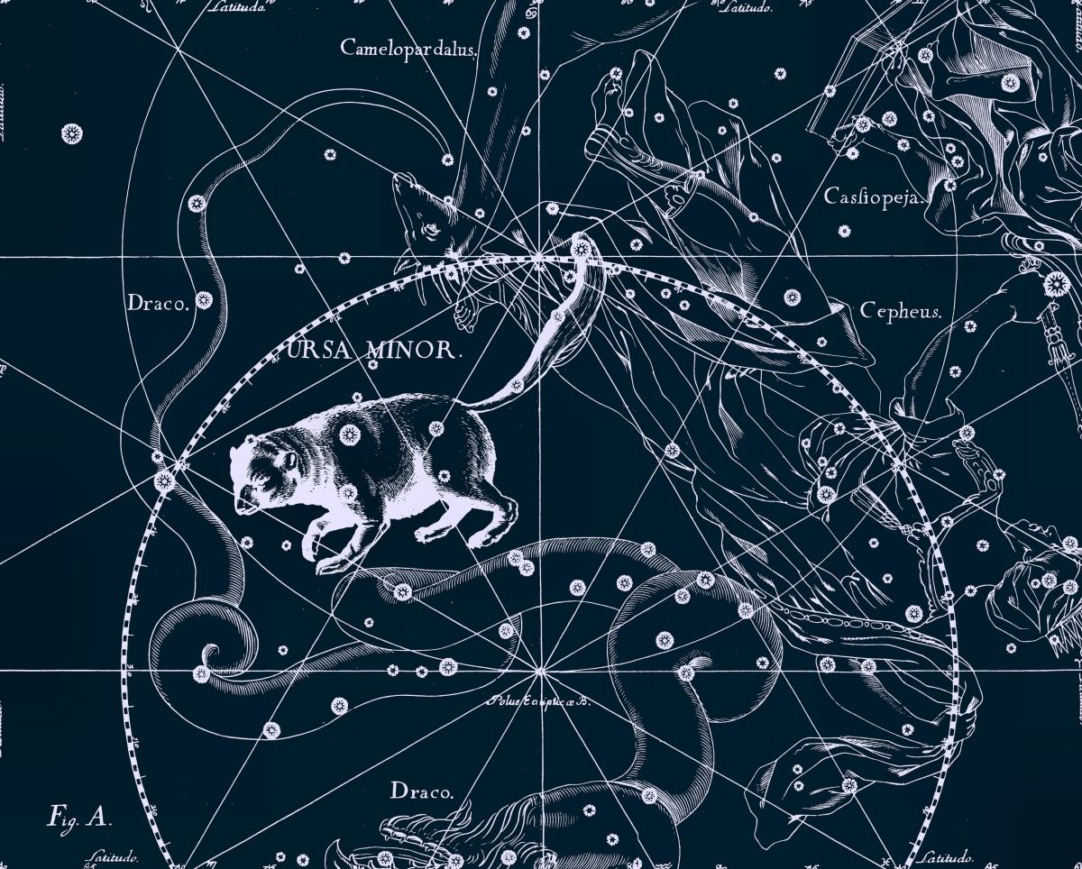 Constellation history